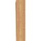 Ekena Millwork Olympic Traditional Smooth Bracket, Western Red Cedar, 5 1/2"W x 20"D x 24"H BKT06X20X24OLY01SWR - alternate 3